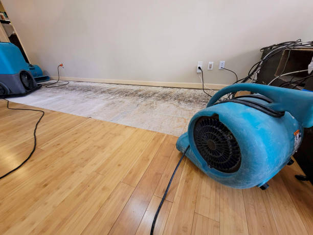 Professional Burst Pipe Water Damage technician working in Banco, VA